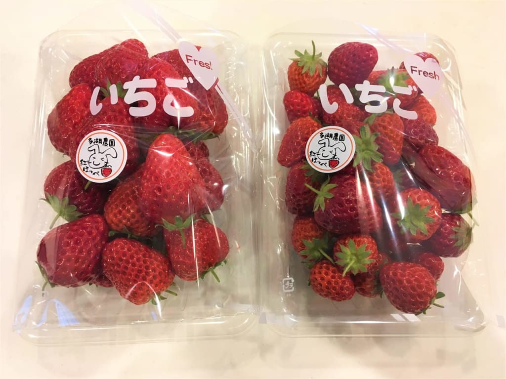 いなべ市にある多湖農園のいちご