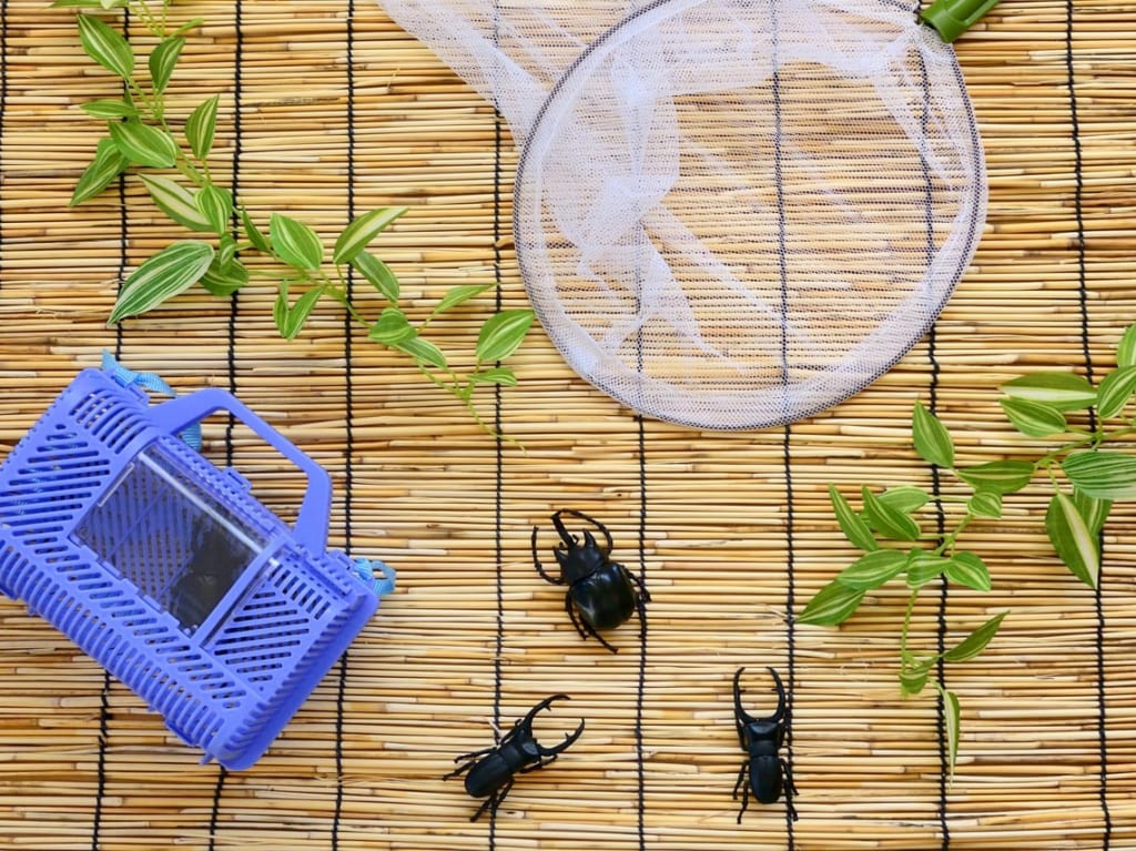 昆虫採集