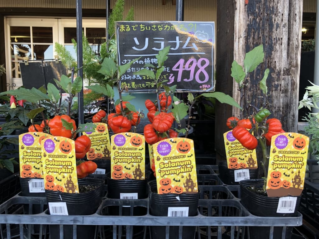 花市場（なばなの里前）
