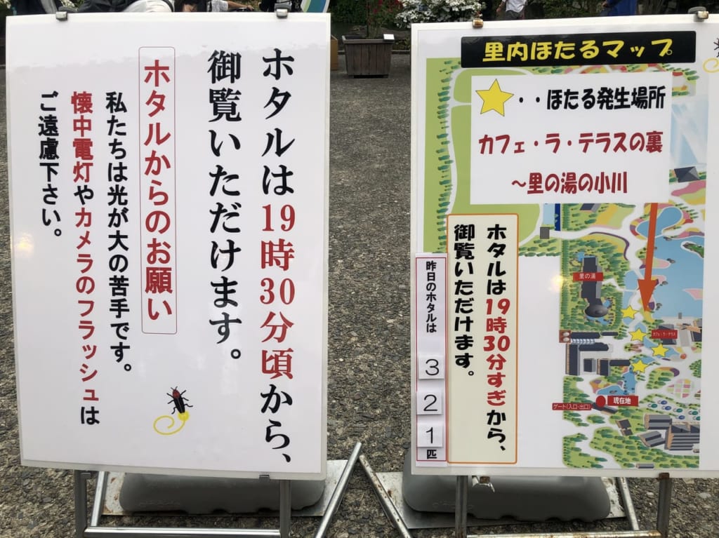 なばなの里　ホタル　２０２１