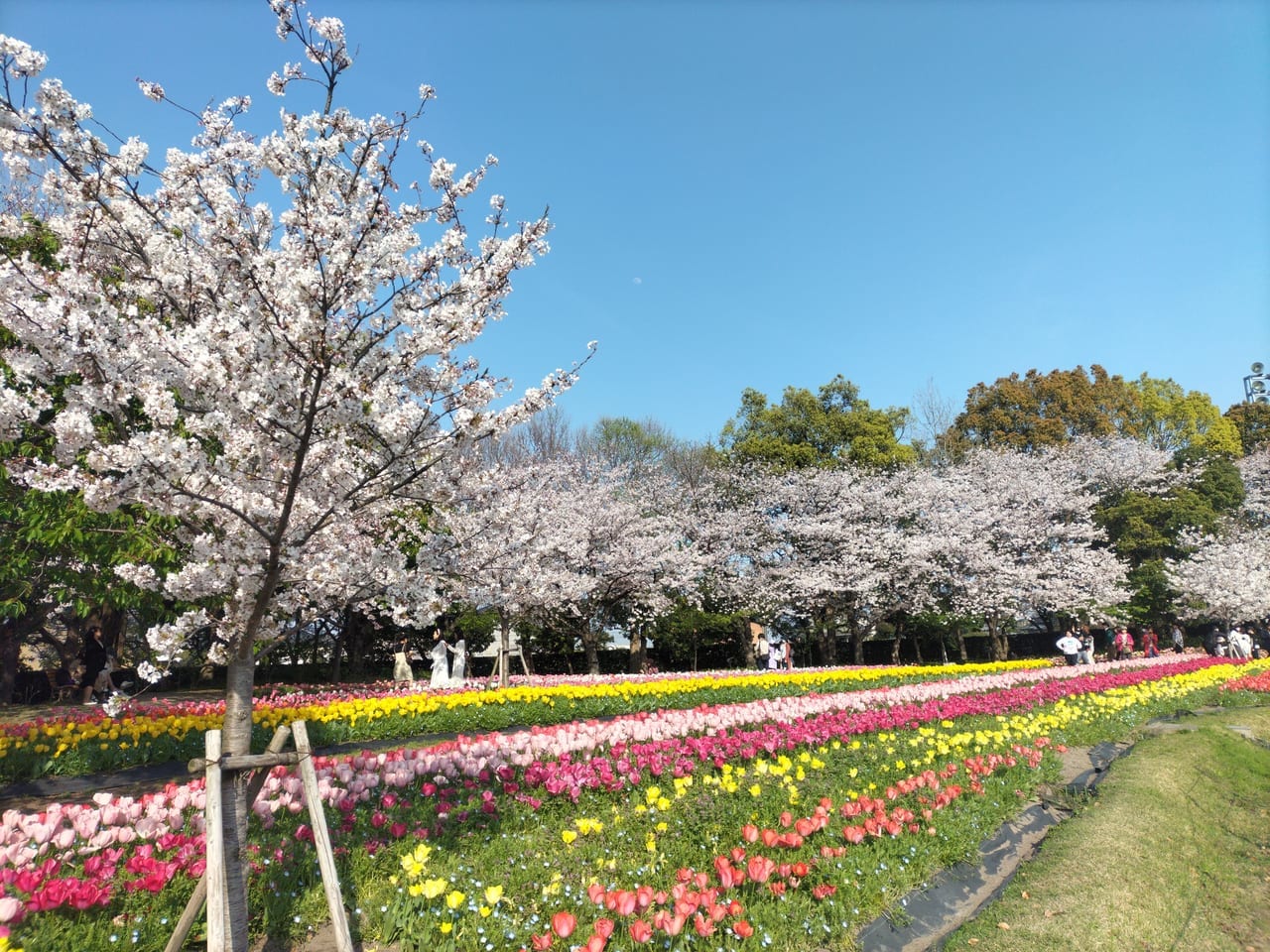 なばなの里