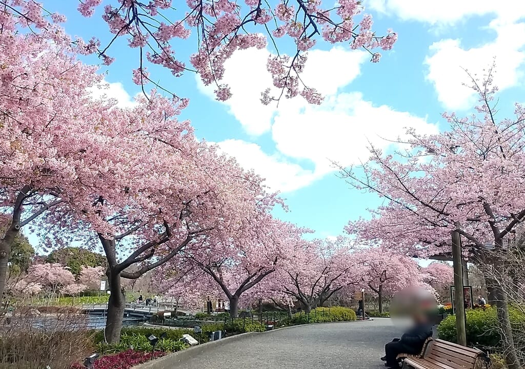 なばなの里
