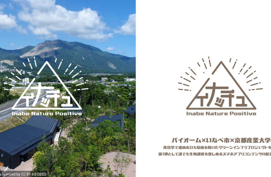 イナッチュクエスト