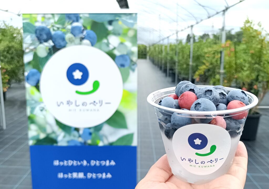 iyashinoberry