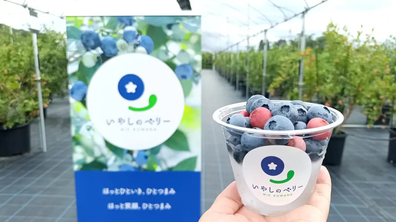 iyashinoberry