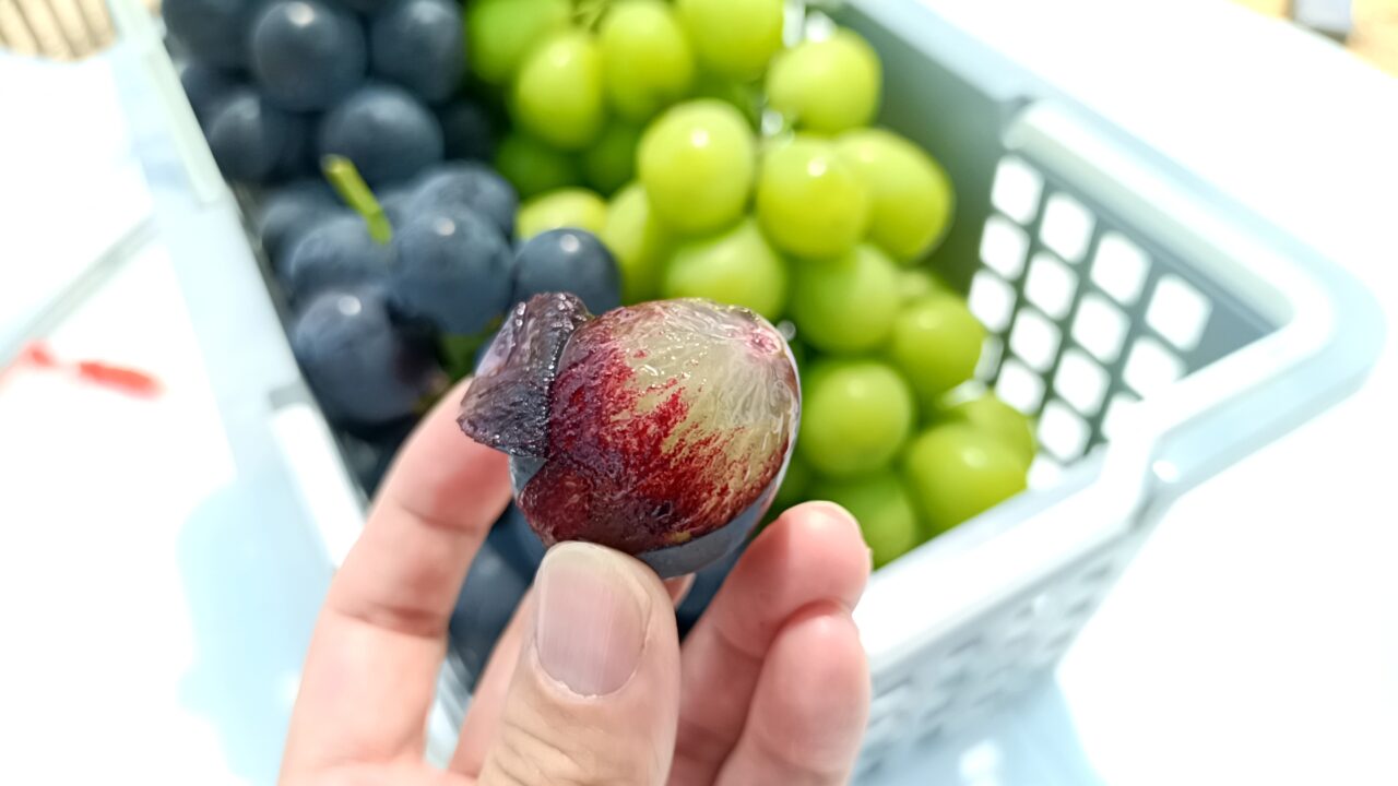 カームツリーファーム