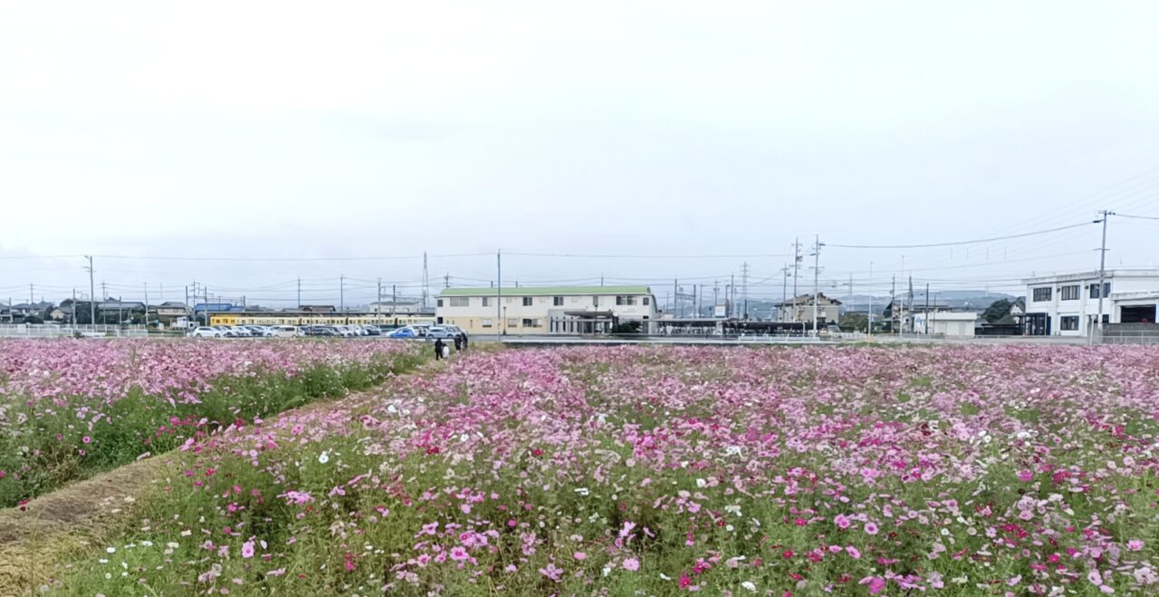 toincosmos
